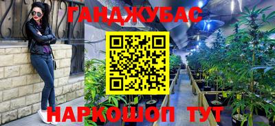 гашик Кунгур
