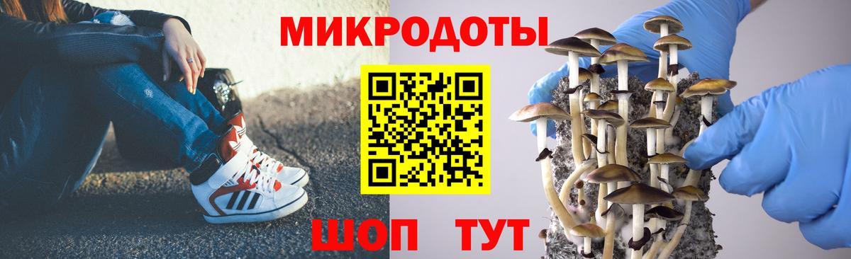 Балтийск  Псилоцибиновые грибы мухоморы  Вход с VPN 
